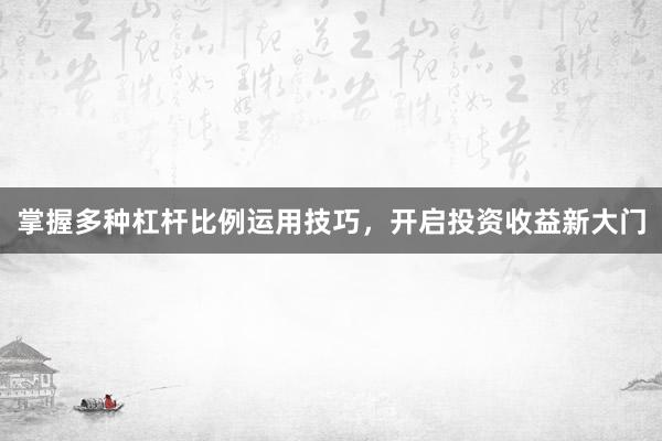 掌握多种杠杆比例运用技巧，开启投资收益新大门