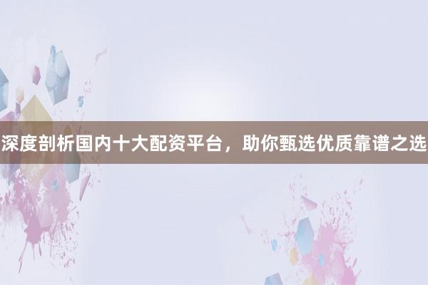 深度剖析国内十大配资平台，助你甄选优质靠谱之选