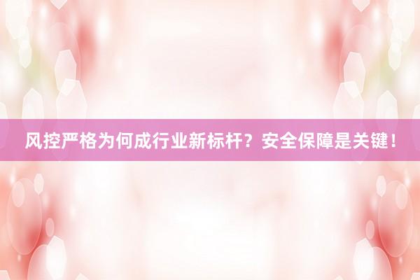 风控严格为何成行业新标杆？安全保障是关键！
