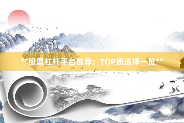 **股票杠杆平台推荐：TOP质选择一览**