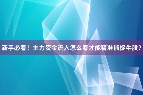 新手必看！主力资金流入怎么看才能精准捕捉牛股？