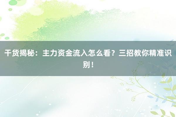 干货揭秘：主力资金流入怎么看？三招教你精准识别！