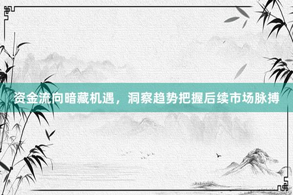 资金流向暗藏机遇，洞察趋势把握后续市场脉搏