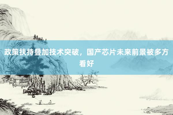 政策扶持叠加技术突破,国产芯片未来前景被多方看好