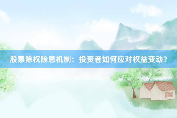 股票除权除息机制:投资者如何应对权益变动?
