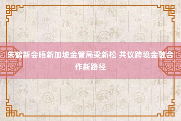 朱鹤新会晤新加坡金管局梁新松 共议跨境金融合作新路径