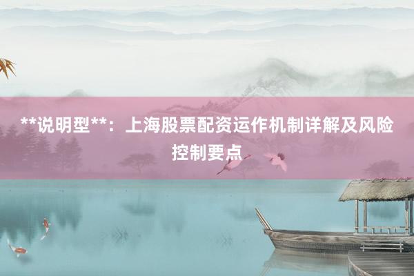 **说明型**：上海股票配资运作机制详解及风险控制要点
