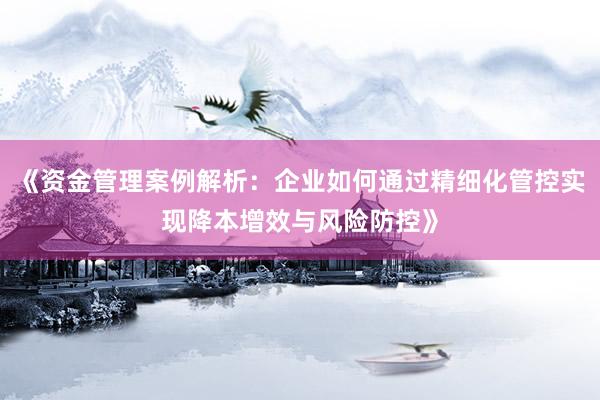 《资金管理案例解析：企业如何通过精细化管控实现降本增效与风险防控》
