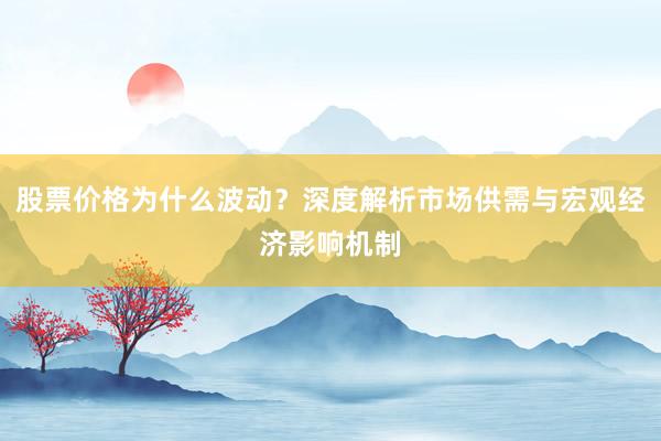股票价格为什么波动？深度解析市场供需与宏观经济影响机制