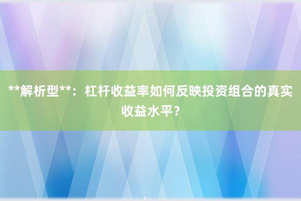 **解析型**：杠杆收益率如何反映投资组合的真实收益水平？